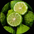 bergamot_circle_circle.png
